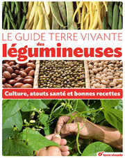 Portrait-Gastronomique-Le-Guide-Terre-Vivante-Des-Legumineuses