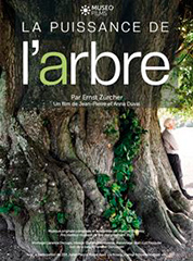 Cinema-La-Puissance-De-L-Arbre