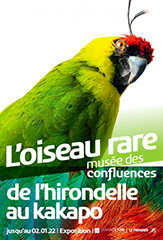 Expo-L-Oiseau-Rare