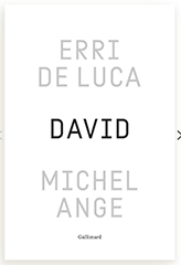 Livre-David-Michel-Ange