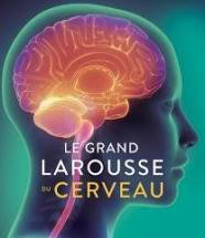 Livre-Le-Grand-Larousse-Du-Cerveau