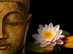 Bien-Etre-Attitude-Zenitude