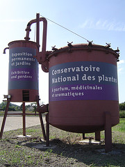 Conservatoire-National-des-Plantes-Milly