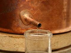 Distillerie-Noyau-de-Poissy