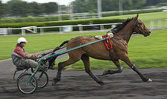 Hippodrome-de-Vincennes