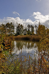 La-Brie-des-Etangs