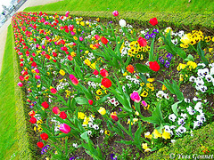 Parc-Floral-de-Paris