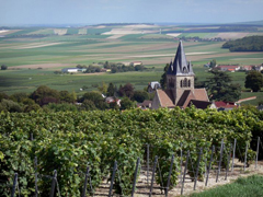 Parc-Naturel-Regional-de-la-Montagne-de-Reims