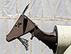 chevre_ artshooter