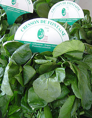 cresson de millyne t