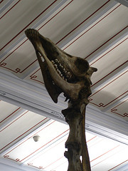 fragonard veto invisible paris