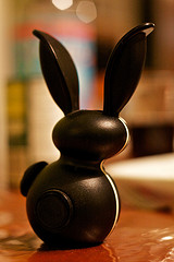 lapin pe auger