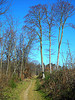 saint germain foret de jpax.be