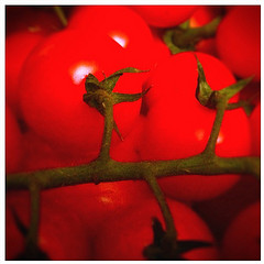 tomate barefaced66