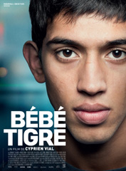 Cinema-Bebe-Tigre