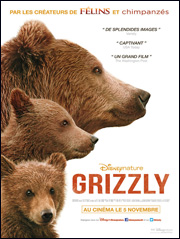 Cinema-Grizzly