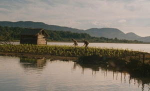 Cinema-La-Terre-Ephemere-A