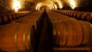 Cinema-Vino-Business-A