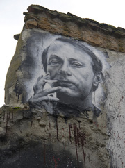 DVD-Houellebecq