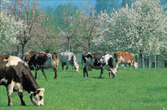 Dans-nos-Regions-Normandie