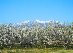 Dans-nos-regions-Languedoc-Roussillon