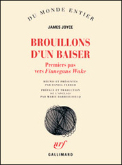 Livre-Brouillons-D-Un-Baise
