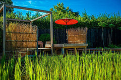 Portrait-Culture-Festival-International-Des-Jardins