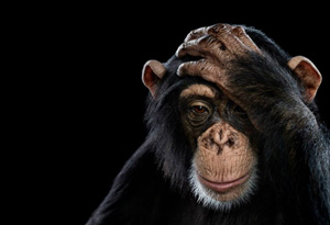 Portrait-Culture-Fotofever-A