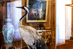 Portrait-Culture-Les-Animaux-Font-Le-Mur-A