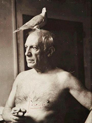 Portrait-Culture-Picasso-B