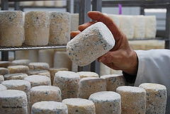 Portrait-Gastronomie-Le-Charolais