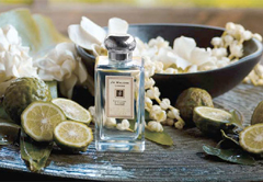 Parfumerie-Jo-Malone
