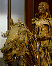 2-Musee-Fragonard