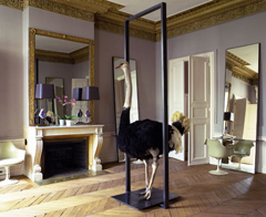 Coiffeur-David-Mallet