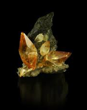 5-Collection-de-mineraux-Jussieu