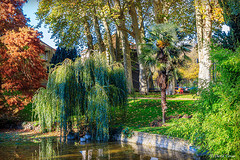 Jardin-des-Plantes