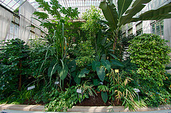 Serres-du-Jardin-des-Plantes