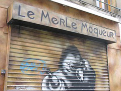 By-Night-Le-Merle-Moqueur