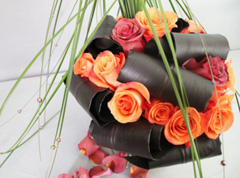 Marche-Fleur-d-Encore