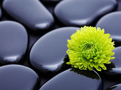 Soins-Beaute-Institut-Fleurs-et-Harmonie