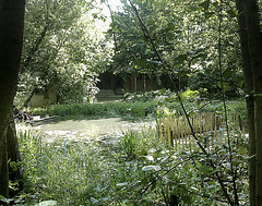Jardin-Naturel