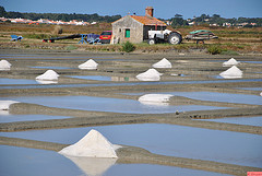 Ile-de-Noirmoutier