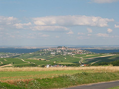 Sancerre