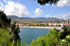 Banyuls
