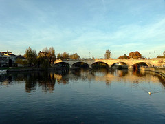 Cognac
