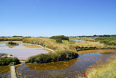 Guerande