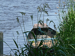 Parc-Naturel-de-la-Briere