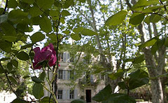 Chateau-des-Alpilles