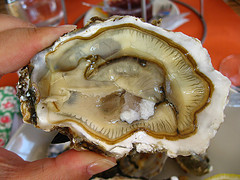 Huitres-de-Bouzigues