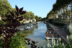 Narbonne